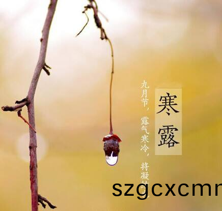 寒(han)露至，鞦意濃